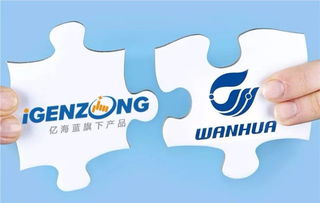 萬華與億海藍聯(lián)手打造可視化物流，開創(chuàng)數(shù)字供應鏈管理新篇章